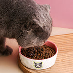 カスタム ペットフードボウル オリジナル ✨ 猫用 犬用 食器 ペット 名前 用品