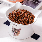 【猫耳デザイン】オリジナル似顔絵と名前が入る ✨ペット 猫 犬 用品ペットフードボウル 食器